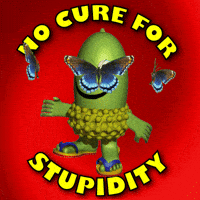 stupid-youre-no-cure-for-stupidity-ILg0RxKHtKz9DSuUP6
