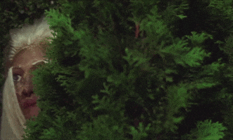 Music video gif. In Mitski video for Stay Soft a glittery face mask with wide blue eyes and long blond hair pops out from behind a bush and stares at us.