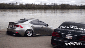 200.gif?cid=fc005b08389549e06e728d315d2fca2be68a154165d43d6d&rid=200.gif&ct=g