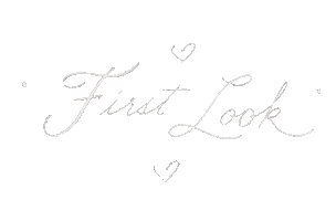 First Look Wedding Sticker by Dani Ford