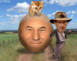 Digital art gif. Patrick Stewart's face is on a big ball that's rolling down a hill with a kitten running on top. Harrison Ford as Indian Jones is running away from the ball.