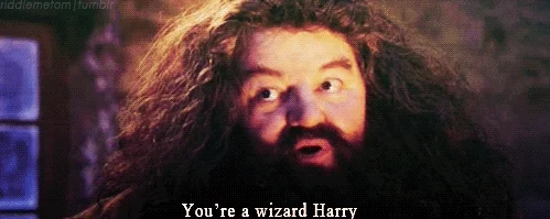 youre a wizard harry