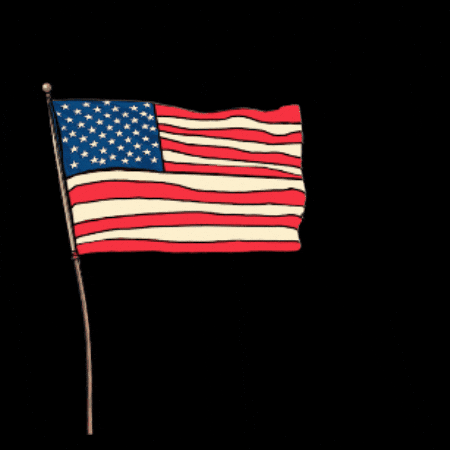 Waving Independence Day GIF by GT8Studios
