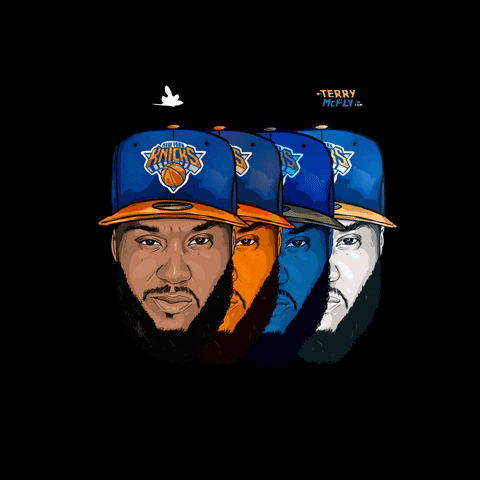 Knicks GIF by Terry McFly