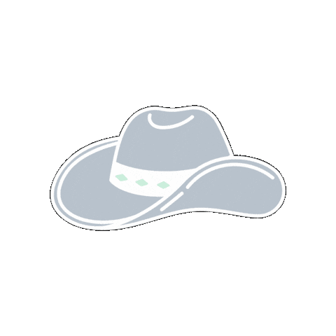 Cowboy Hat Sticker by Face Reality Skincare