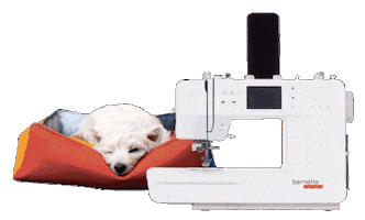 Create Sewing Machine Sticker by BERNINA International AG