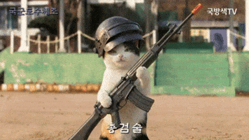 국군 도수체조 GIF