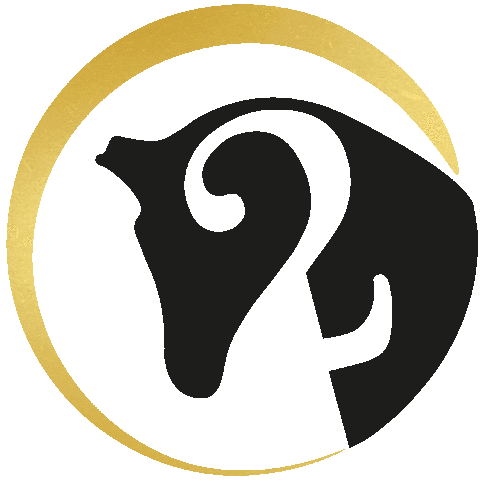 Karin Toetenel Sticker by twofithorses