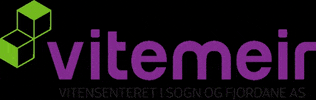 ViteMeir GIF