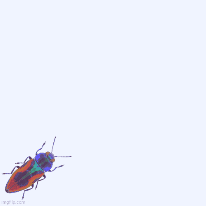 Yuna Miray GIF