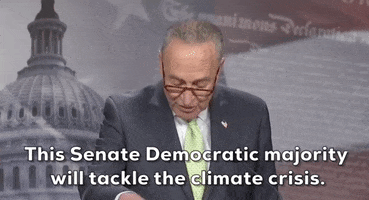 Climate Crisis Schumer GIF by GIPHY News