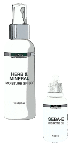 DMK International Sticker