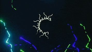 Get On Colors GIF by ROYAL PRISMATIC