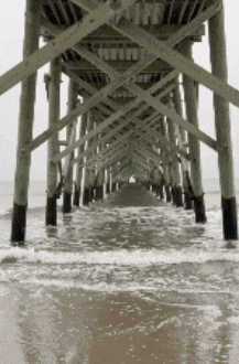 Nc GIF