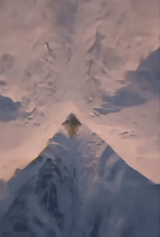 Meme GIF