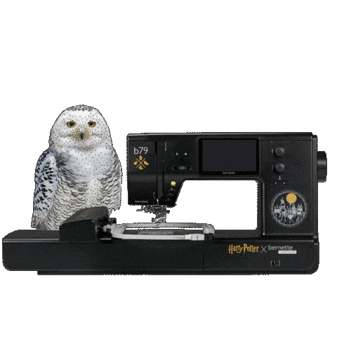 Sew Harry Potter Sticker by BERNINA International AG