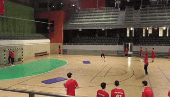 Handball GIF