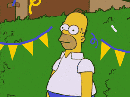 Party GIF