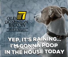 Stay Inside Real Estate GIF by Old Dominion Realty