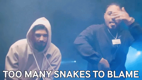 Too-many-snakes-to-blame GIFs - Get the best GIF on GIPHY