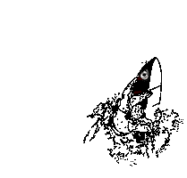 Sticker by Drop Wind