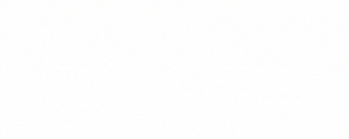 BIBD GIF