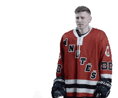 PIXBO.STUDIO Sticker