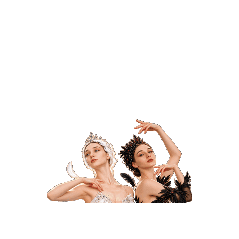Black Swan Sticker by International Ballet Stars