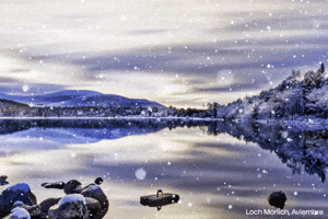 Merry Christmas GIF by University of the Highlands and Islands