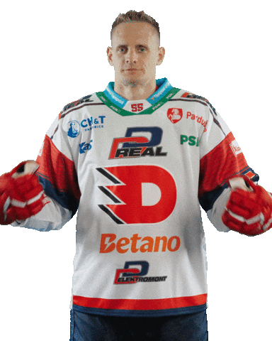 Hockey Czech Sticker by HC Dynamo Pardubice