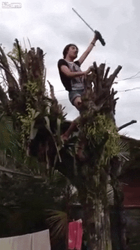 bw9ylm1lbnpaay5jby5pba  GIF