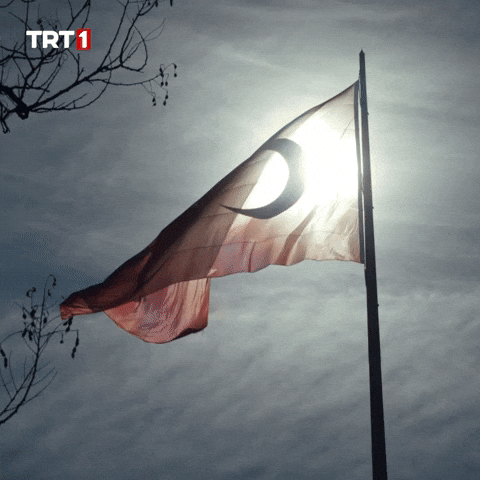 Turkish Flag GIF by TRT