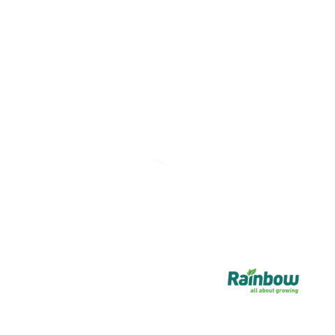 Rainbow Soja Sticker by rainbowagrobrasil