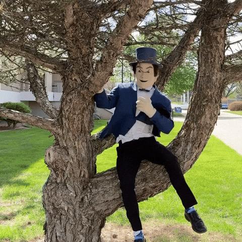Mascot Waving GIF by Washburn University