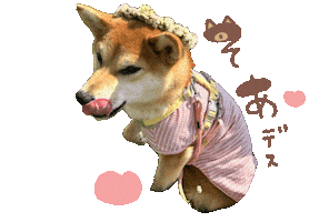 しばいぬ Sticker