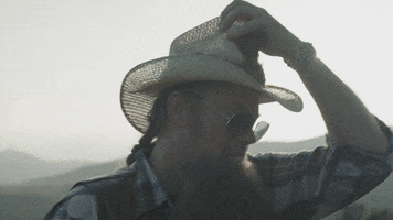gethenjenkins party music video whiskey campfire GIF