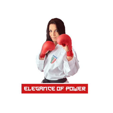 DMTC Sport Sticker