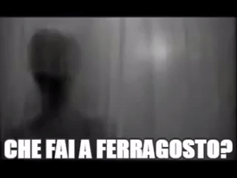 stefaniafioskycarboni  GIF