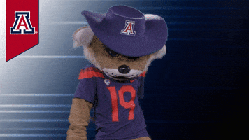 University Of Arizona GIF by College Colors Day