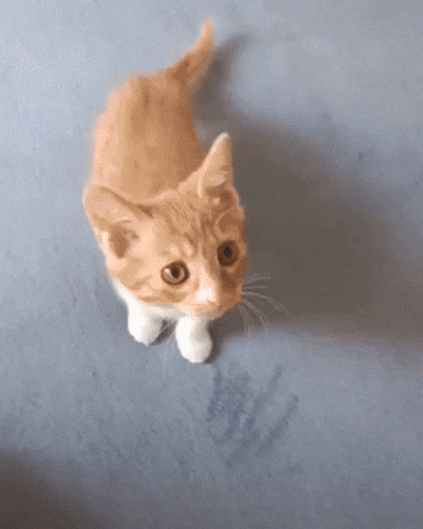 Love Me Hug Gif By Wildkitty Find Share On Giphy