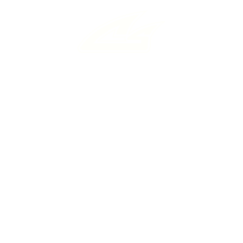 Sticker by Cheer Sport Sharks
