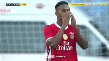 SL_Benfica oh no frustrated benfica slb GIF