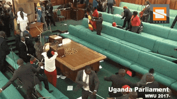 Sport GIF