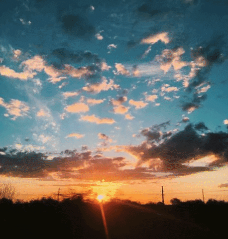 Friends GIF