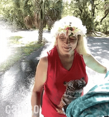 Big Cat Rescue Reaction GIF by Cameo - Find & Share on GIPHY