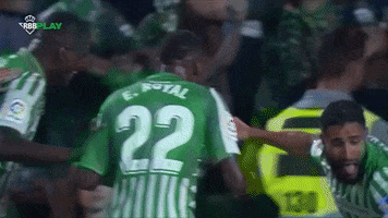 Real Betis Equipo GIF by Real Betis Balompié