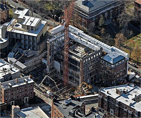 art in the twenty-first century