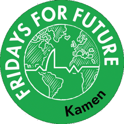 Fridays for Future Kamen Sticker