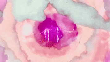 Young The Giant GIF