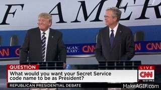 debate